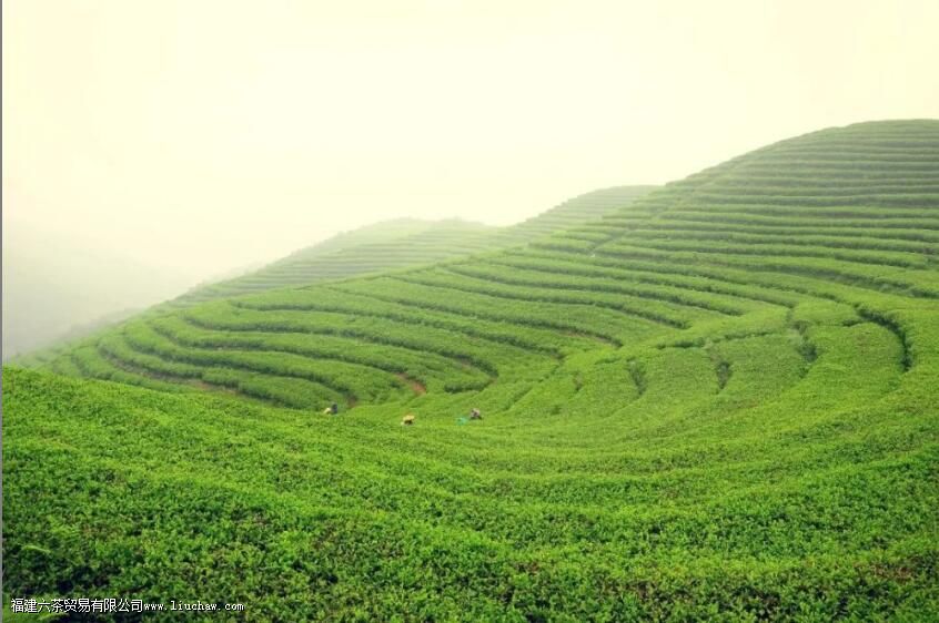 �����ţ������ţ����ײ����ĵ�����