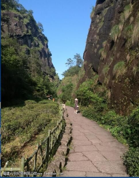 Ʒ�����������Դʱ����