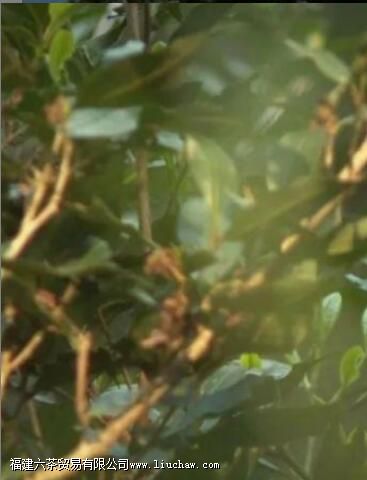 �ն�Ϊʲô����Ϊ�����Դ