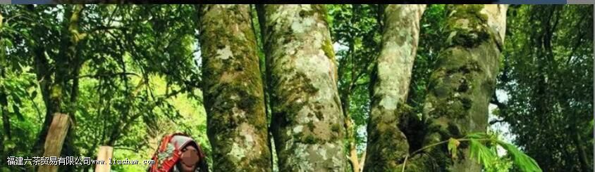 �ն�Ϊʲô����Ϊ�����Դ