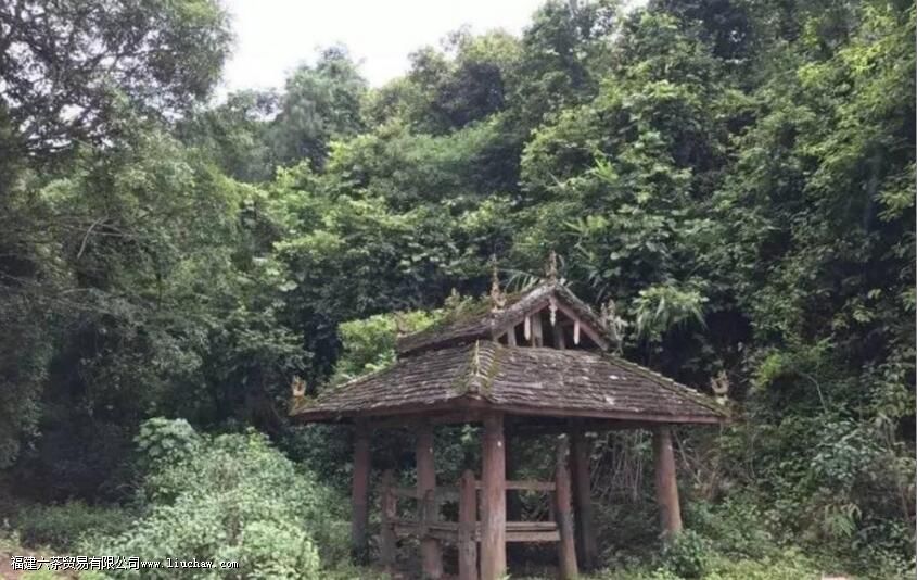 �ն�Ϊʲô����Ϊ�����Դ