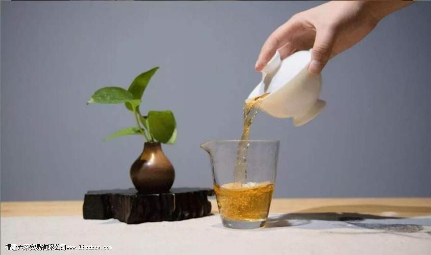 ���������ʲô��˼