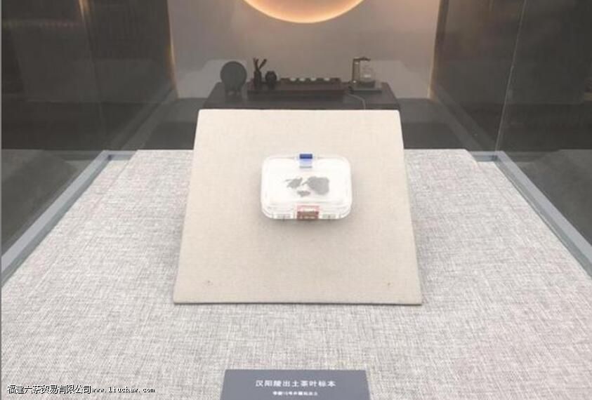 陕西汉阳陵出土的茶叶介绍 陕西汉阳陵出土的茶叶介绍