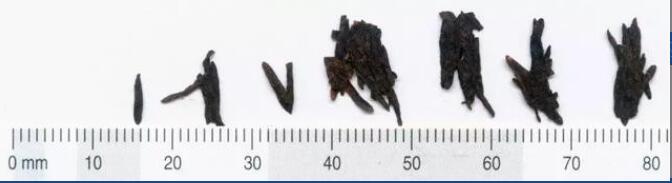 陕西汉阳陵出土的茶叶介绍 陕西汉阳陵出土的茶叶介绍