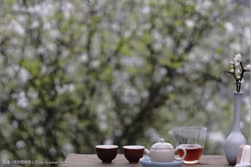 时间,正在悄悄奖励喝茶的你 时间,正在悄悄奖励喝茶的你