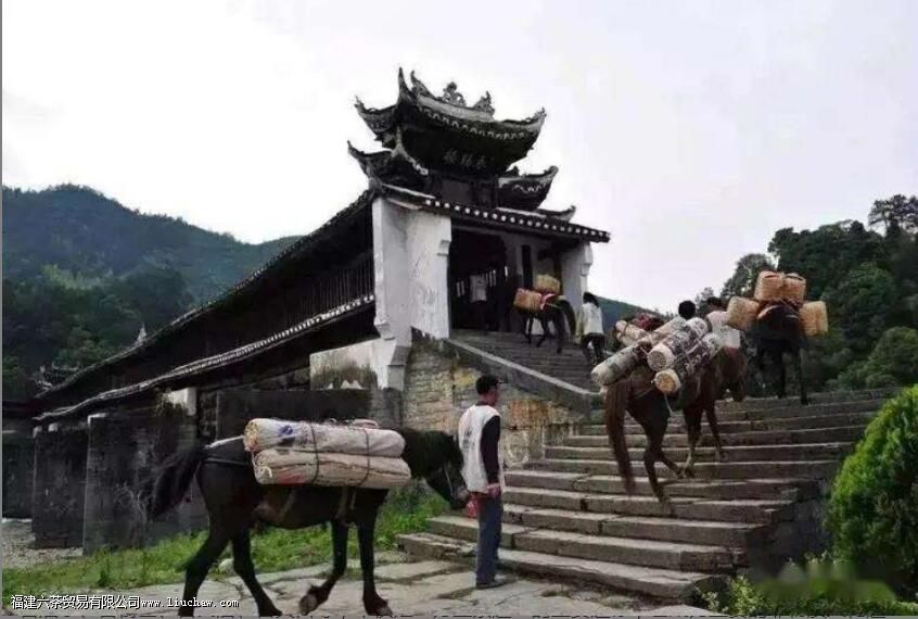 万里茶道主要运输方式 万里茶道主要运输方式