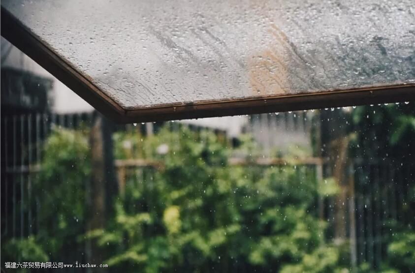 喂喂喂,在?今天有空吗,一起去喝杯茶… 喂喂喂,在?今天有空吗,一起去喝杯茶…