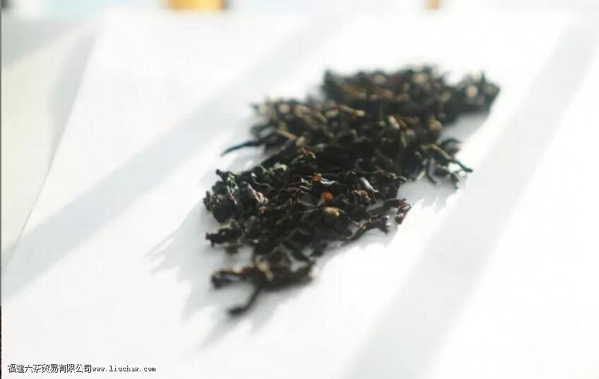 乌龙茶的历史文化 乌龙茶的历史文化