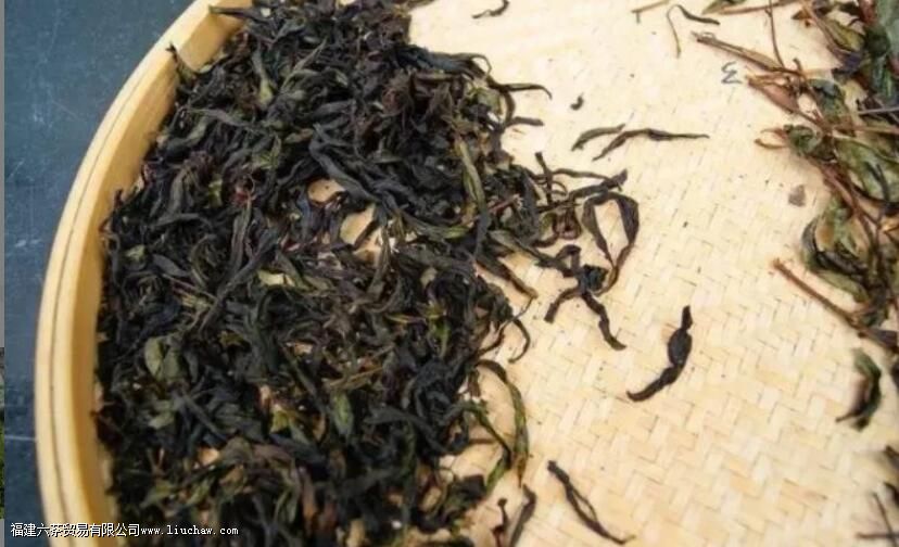 �����Ҳ�ķ�չʷ