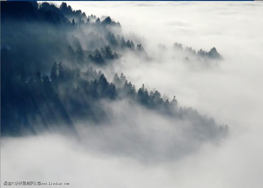 ϲ��һ���˺Ȳ� ϲ�������Լ����Ƿ�����