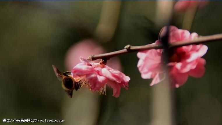 һ������ס���ģ���������