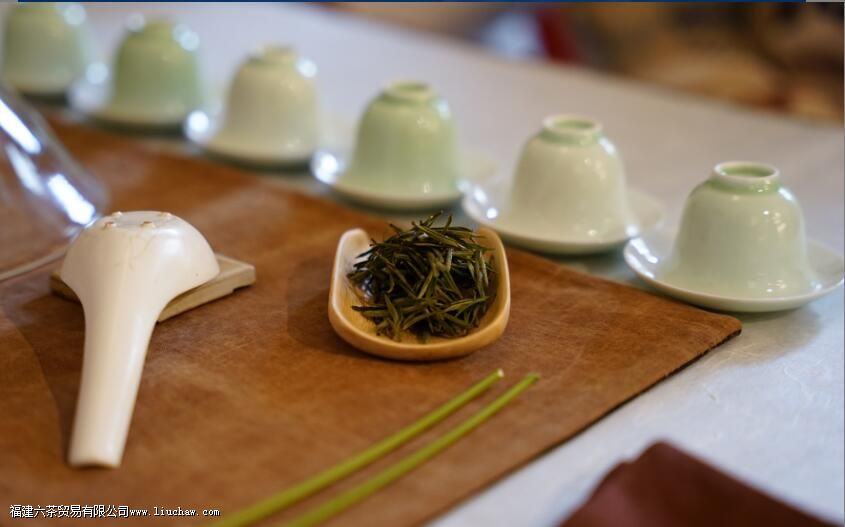 一味茶一种生活方式,当代青年喝茶图鉴 一味茶一种生活方式,当代青年喝茶图鉴