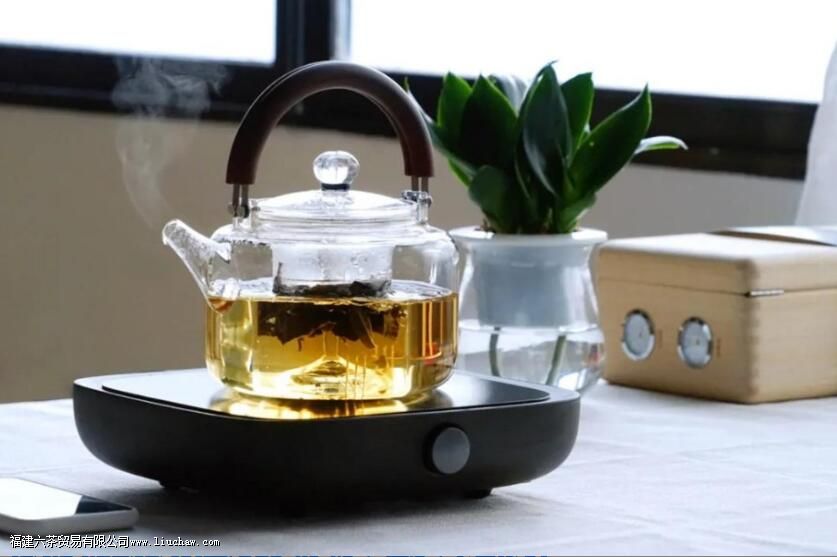 一味茶一种生活方式,当代青年喝茶图鉴 一味茶一种生活方式,当代青年喝茶图鉴