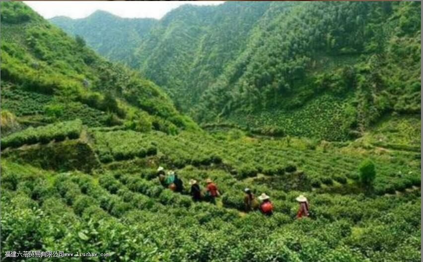 ӿϪ����Ϊʲô������