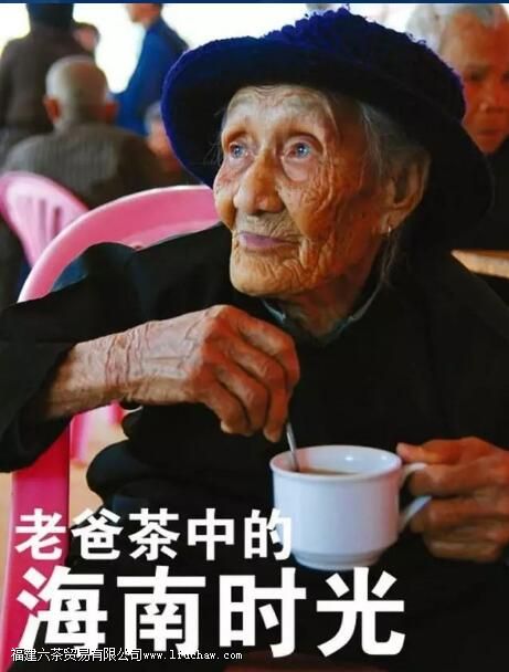 在海南老爸茶是指某一茶叶品种吗 在海南老爸茶是指某一茶叶品种吗