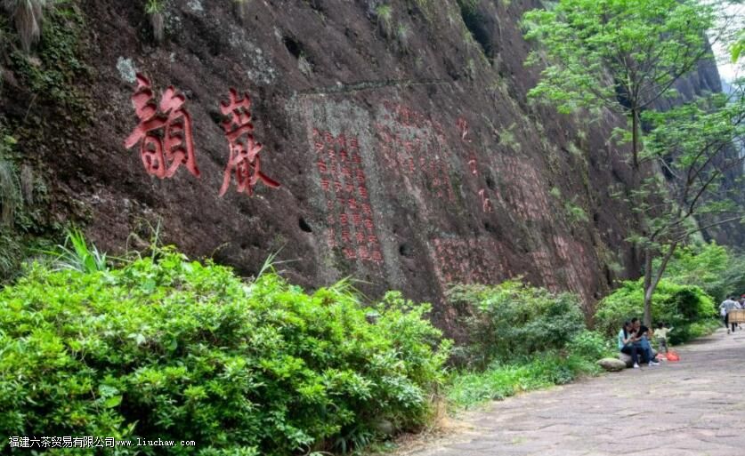 在宋代苏东坡的诗里,茶叶竟有这些妙用 在宋代苏东坡的诗里,茶叶竟有这些妙用