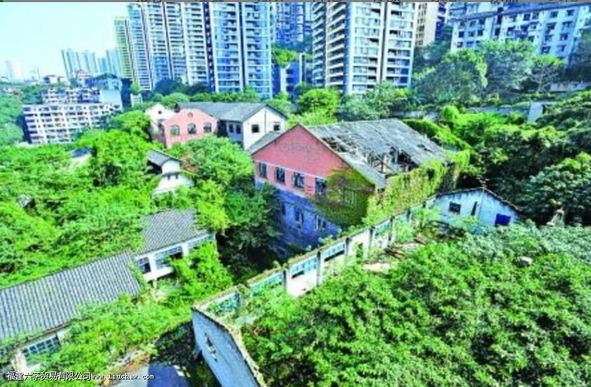 重庆沱茶的历史背景 重庆沱茶的历史背景