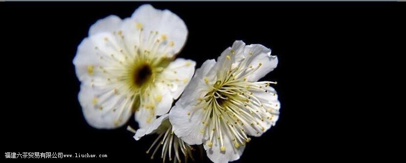 ��÷����Ĺ�Ч�����ü�����