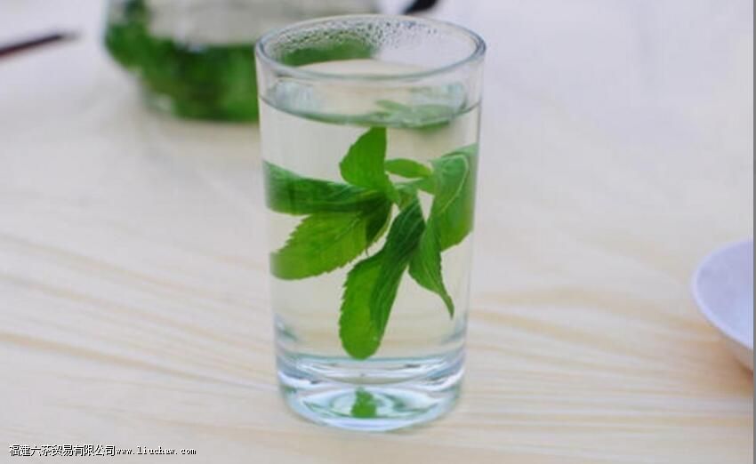 薄荷茶能天天喝吗 薄荷茶能天天喝吗