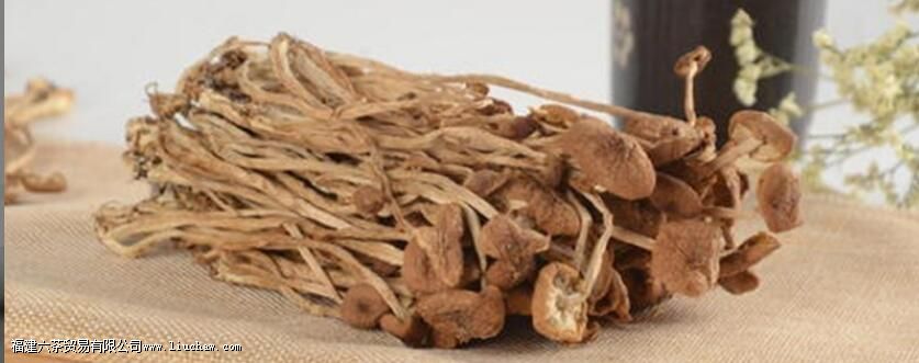 �������ϻ��ǽ���