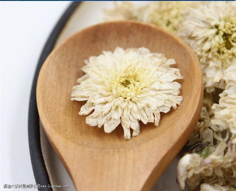 �����Ŷ����������������裡