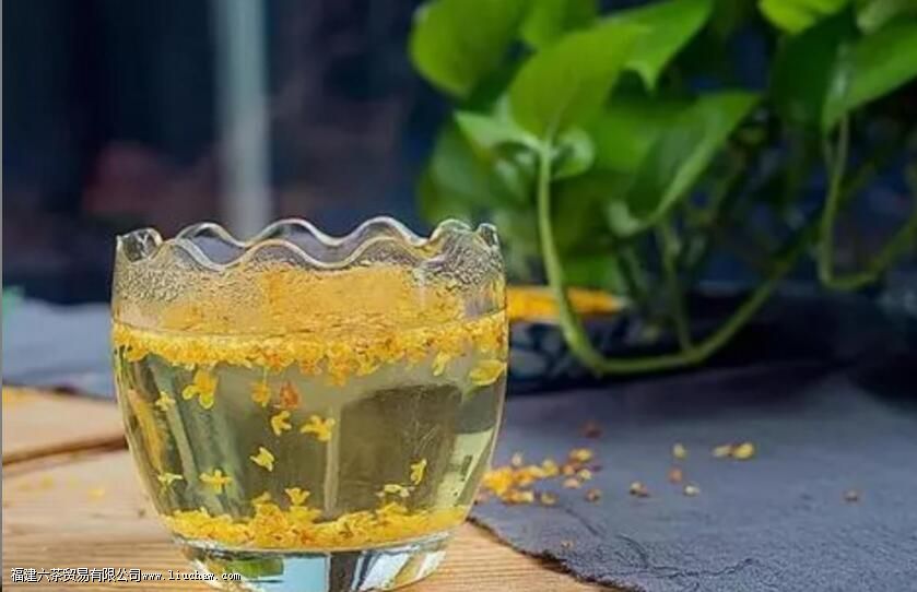 �𻨲�����������