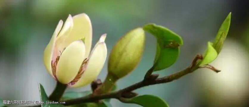 ��Ц������ֱ���ݲ���