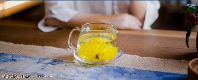 金丝皇菊产地 金丝皇菊产地