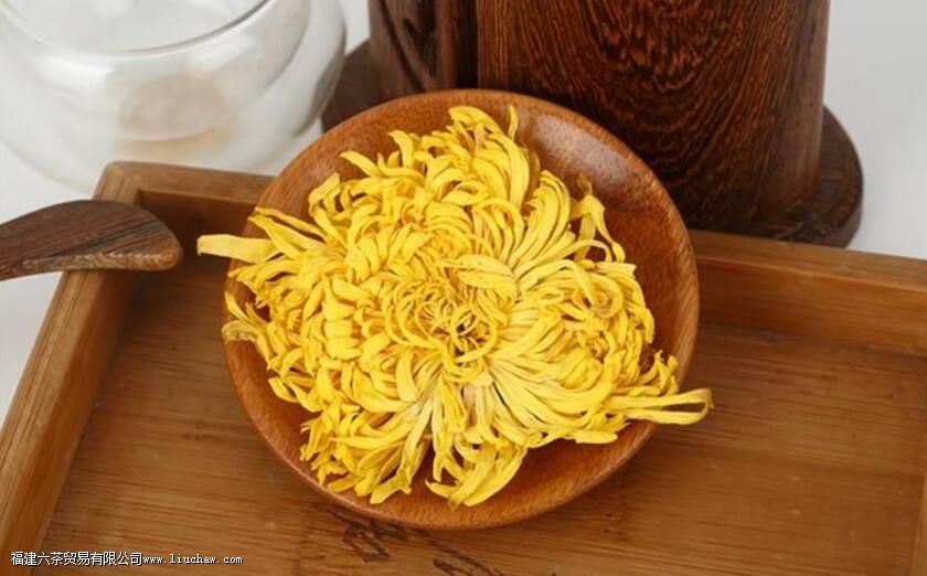 金丝皇菊产地 金丝皇菊产地