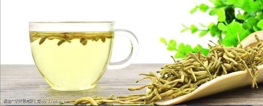 金银花一次泡多少根 金银花一次泡多少根