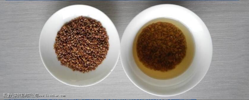 苦荞茶产地具体有哪些 苦荞茶产地具体有哪些