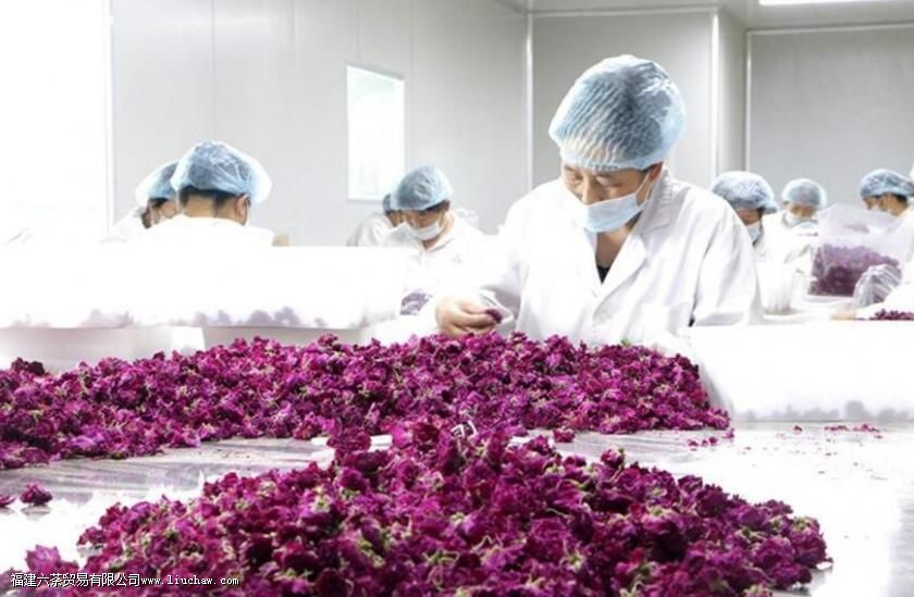 õ�廨����ֱ��ɹ��