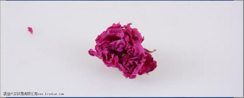 õ�廨�ڵĹ�Ч������