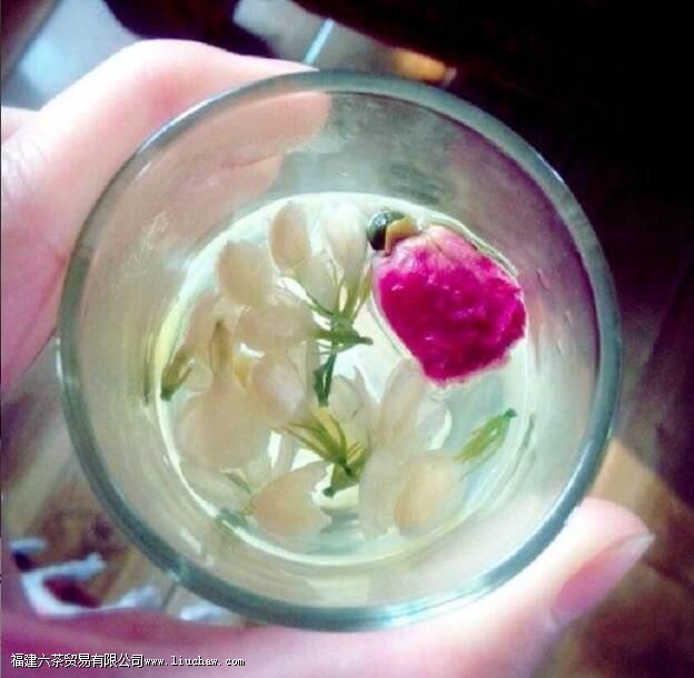 玫瑰茉莉茶的功效与禁忌 玫瑰茉莉茶的功效与禁忌