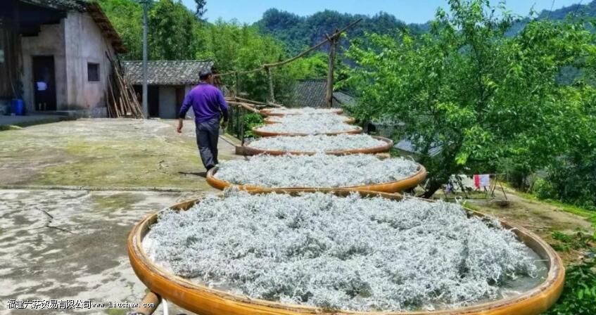 莓茶怎么冲泡 莓茶怎么冲泡