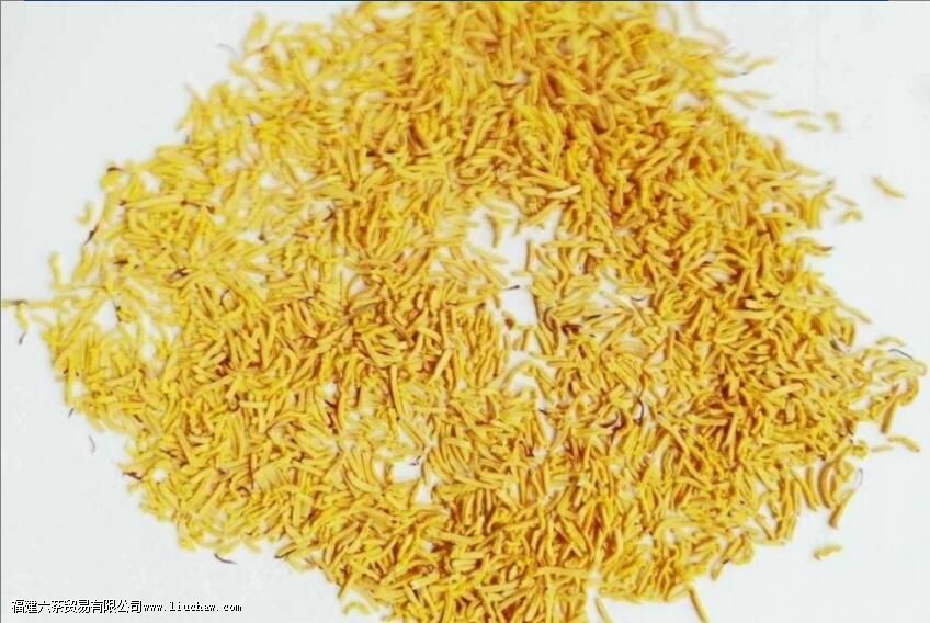 ĵ�������ʲô�˲��ܺ�