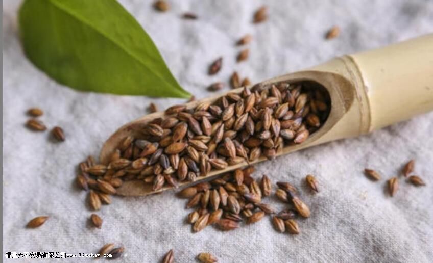 女人每天喝大麦茶好吗 女人每天喝大麦茶好吗