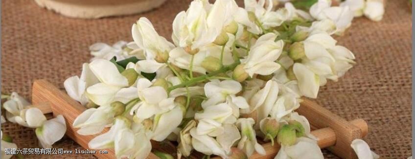 什么人不能喝槐花茶 什么人不能喝槐花茶