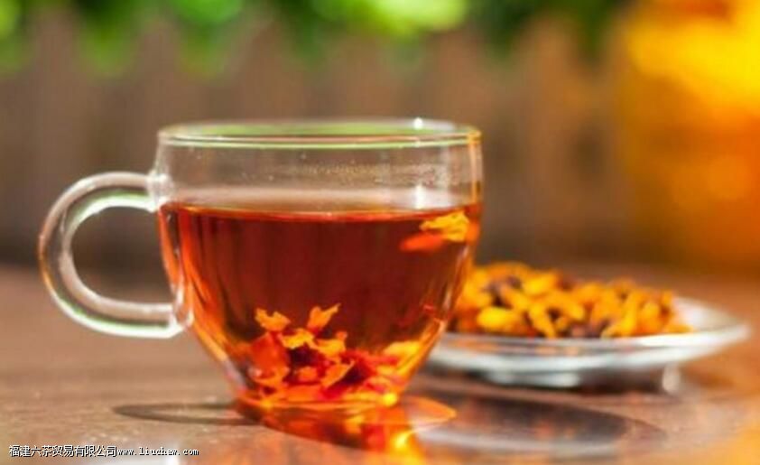 天山雪菊茶有什么功效与作用 天山雪菊茶有什么功效与作用