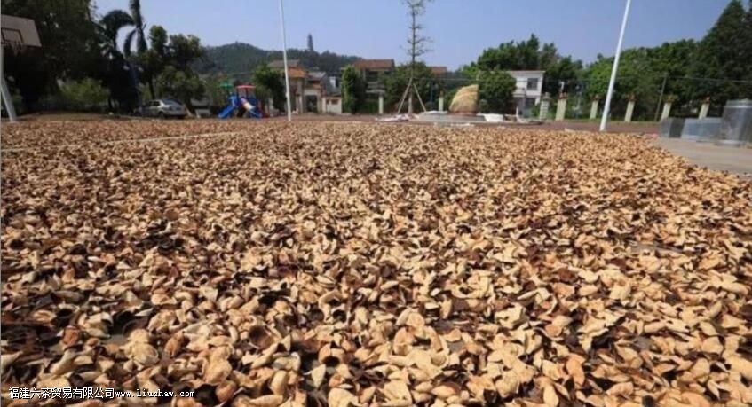 Ϊʲô��Ƥ��Ҫ����ɹ