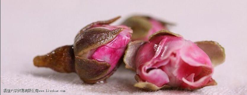 ��õ�廨��ֱ����ˮ����