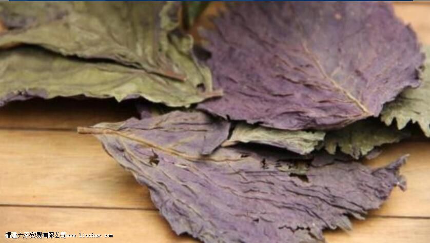 ���ղ�Ĺ�Ч�����ü�ʳ�÷���