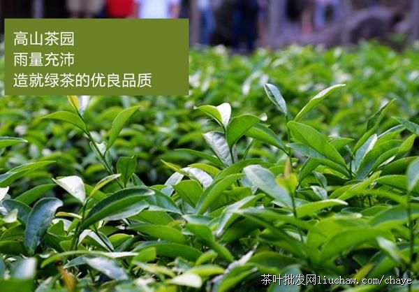 f05��˵��� ��װ500g ��65Ԫ