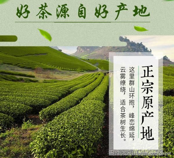 t11������ ��װ ���װ/�� 500g ��60Ԫ