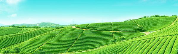 t08������ ���װ/�� 500g ��85Ԫ