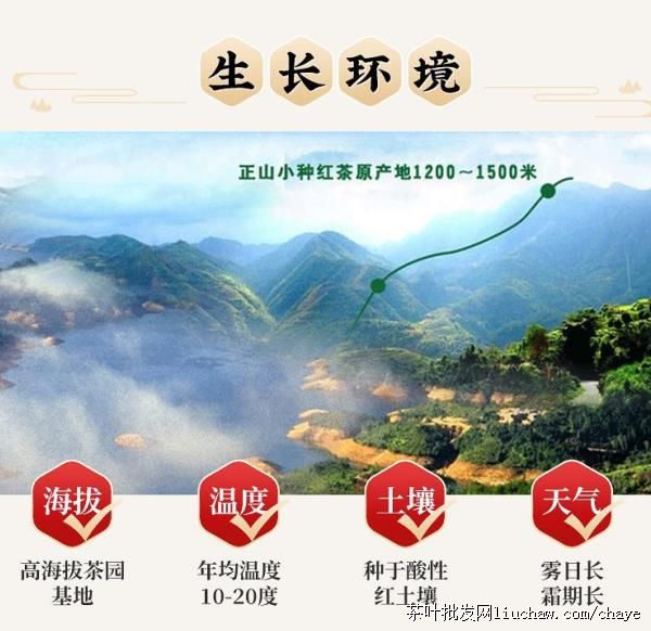 chayez04�²� ����������ɽС�� Ũ���� ��� ɢװ ��װ/���װ500g ����