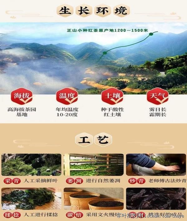 chayez03新茶 福建正山小种 浓香型 红茶 袋装/礼盒装500g 厂家 chayez03新茶 福建正山小种 浓香型 红茶 袋装/礼盒装500g 厂家