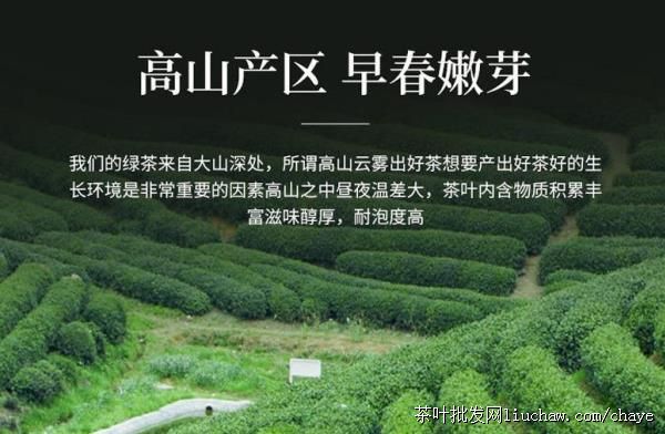 chayeL07��ǰ��ɽ�̲�  ��װ/���װ500g ����