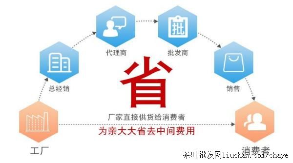 chayeL16�²� ��ܰȸ�� �߼��̲� ���װ500g ����