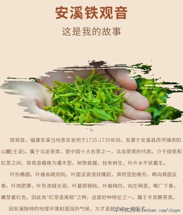 chayet02�²� ������ ��װ/���װ500g ����